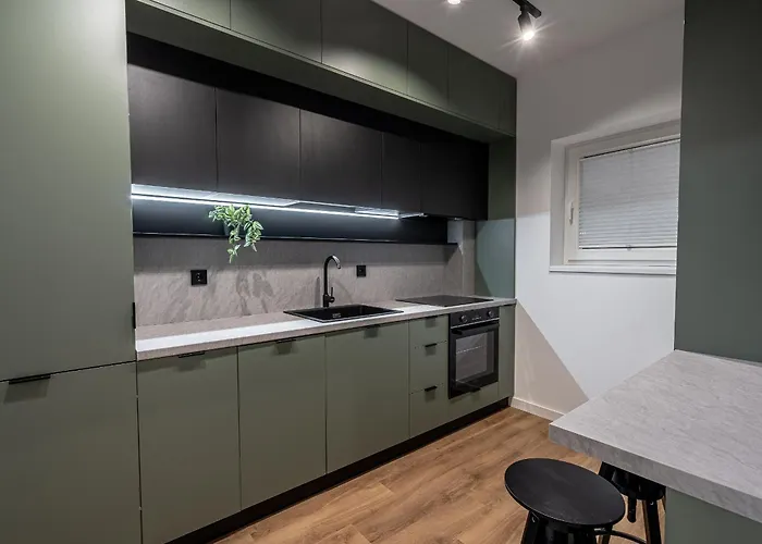 Vidalis * 클루지나포카